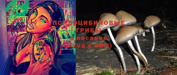каннабис Коряжма