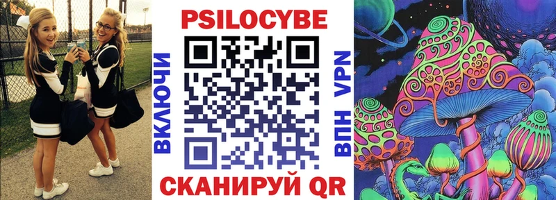 Купить где  Дюртюли  Псилоцибиновые грибы Psilocybine cubensis 